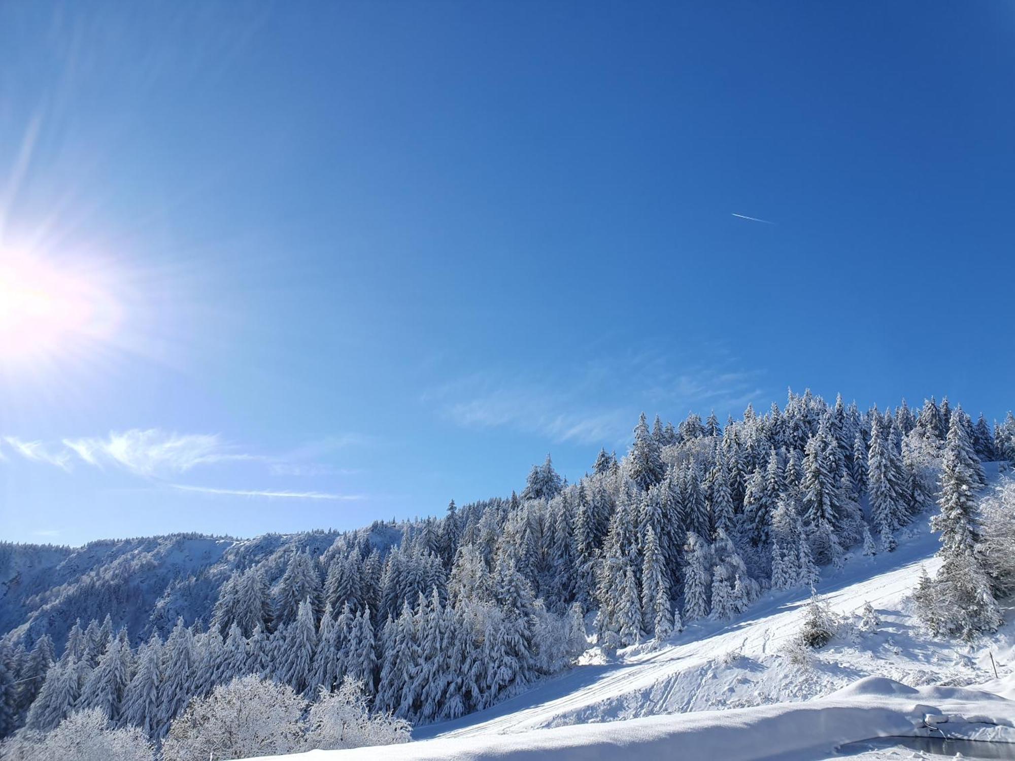 Agreable 3 Pieces Au Lac Blanc Орбе Экстерьер фото